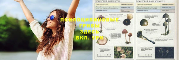 кокаин колумбия Кукмор