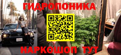 спайс Коммунар
