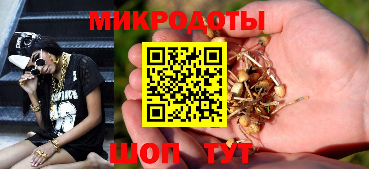 Псилоцибиновые грибы ЛСД Курчалой