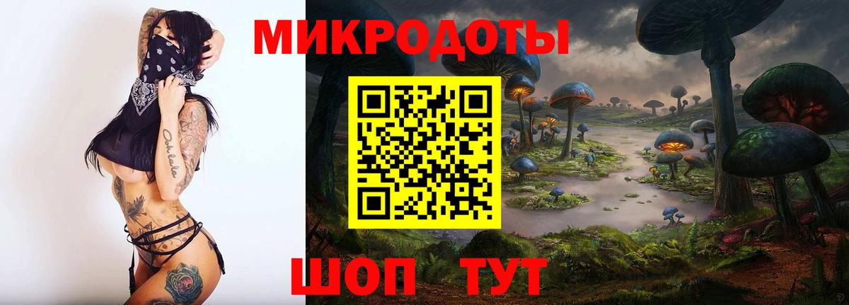 Курчалой  Псилоцибиновые грибы Cubensis  Вход с VPN  Галлюциногенные грибы Magic Shrooms 
