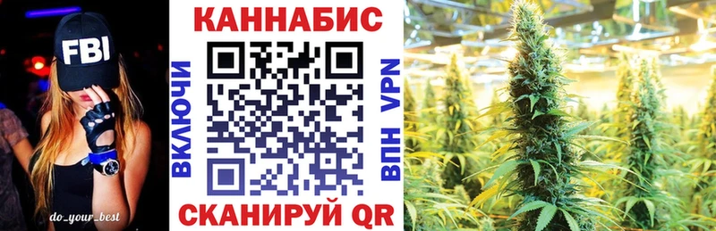Канабис семена  Курчалой 
