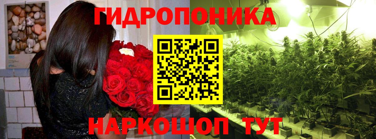 Курчалой  Марихуана THC 21%  Вход с VPN  МАРИХУАНА LSD WEED  Канабис гибрид  Бошки Шишки AK-47 